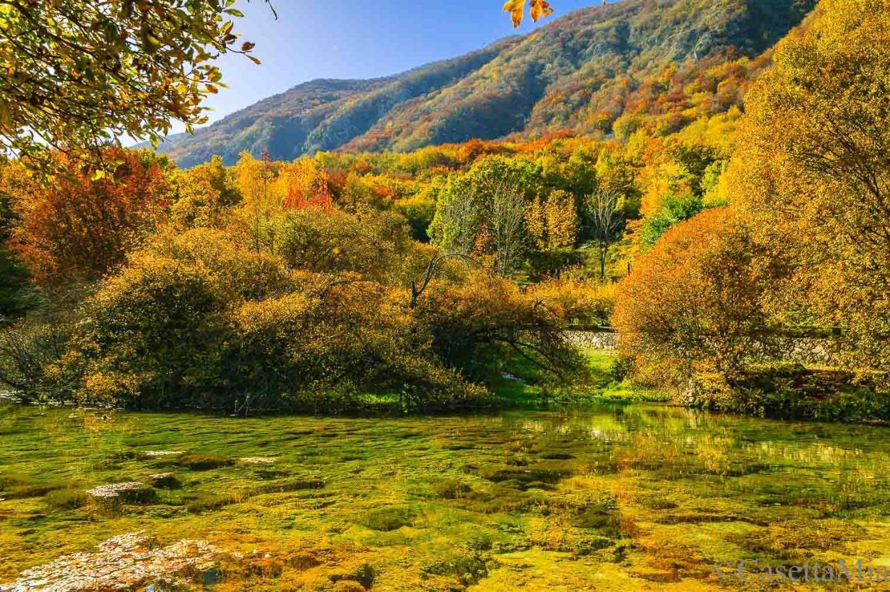 Casetta Mia Canistro Bagian luar foto