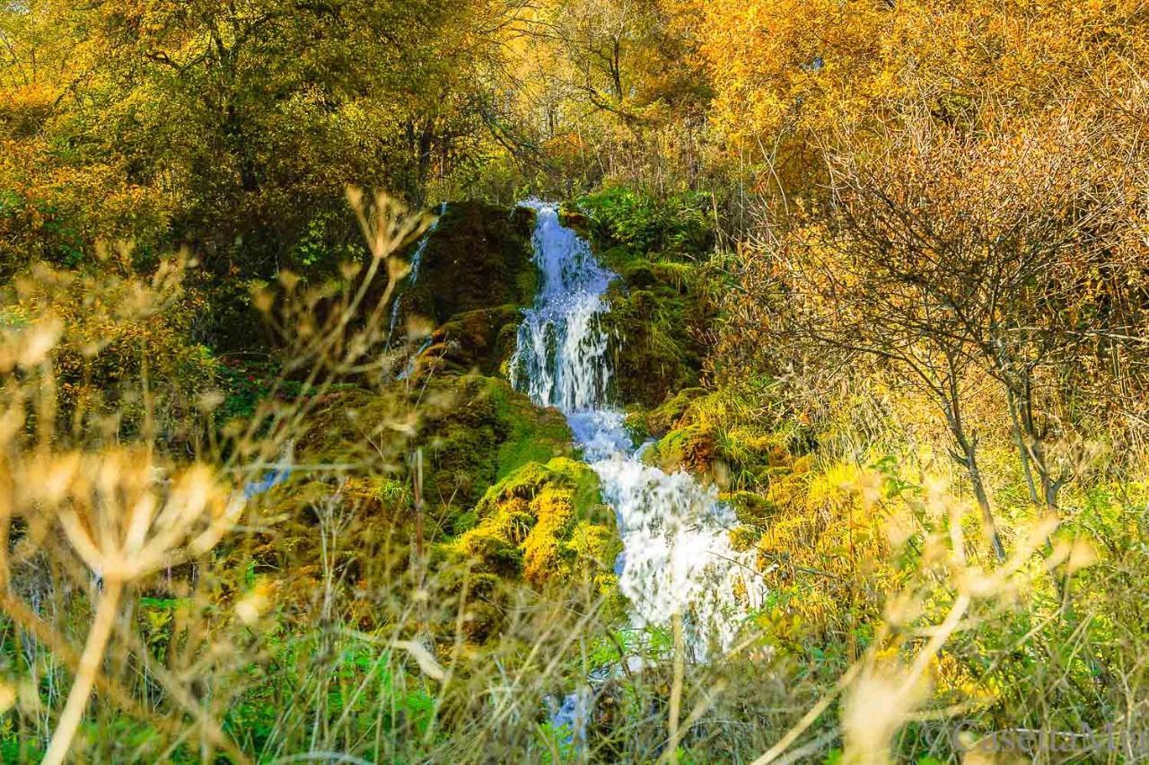 Casetta Mia Canistro Bagian luar foto