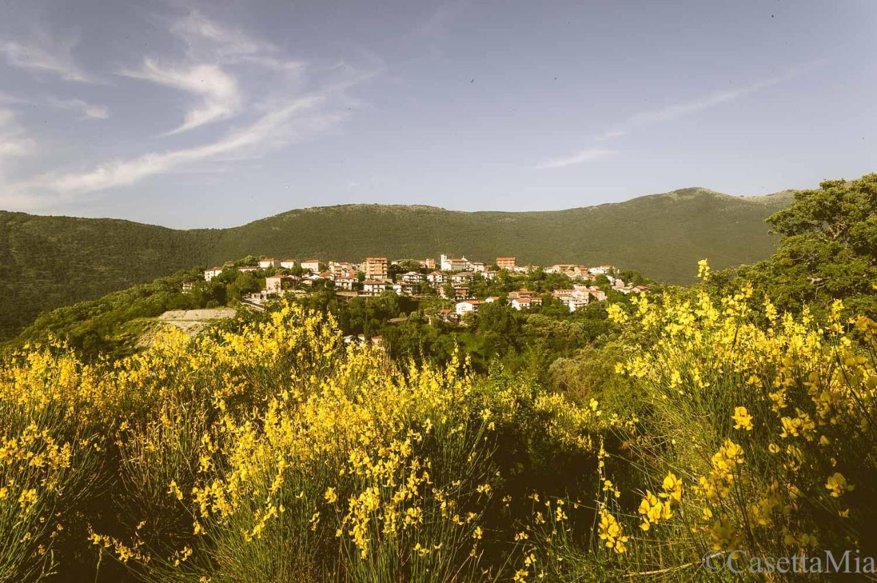 Casetta Mia Canistro Bagian luar foto