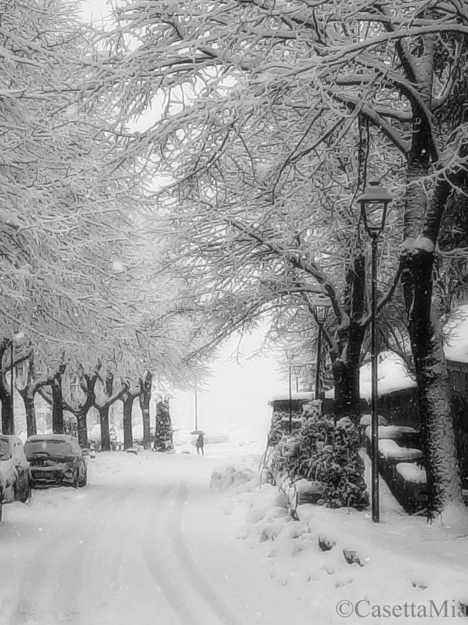 Casetta Mia Canistro Bagian luar foto